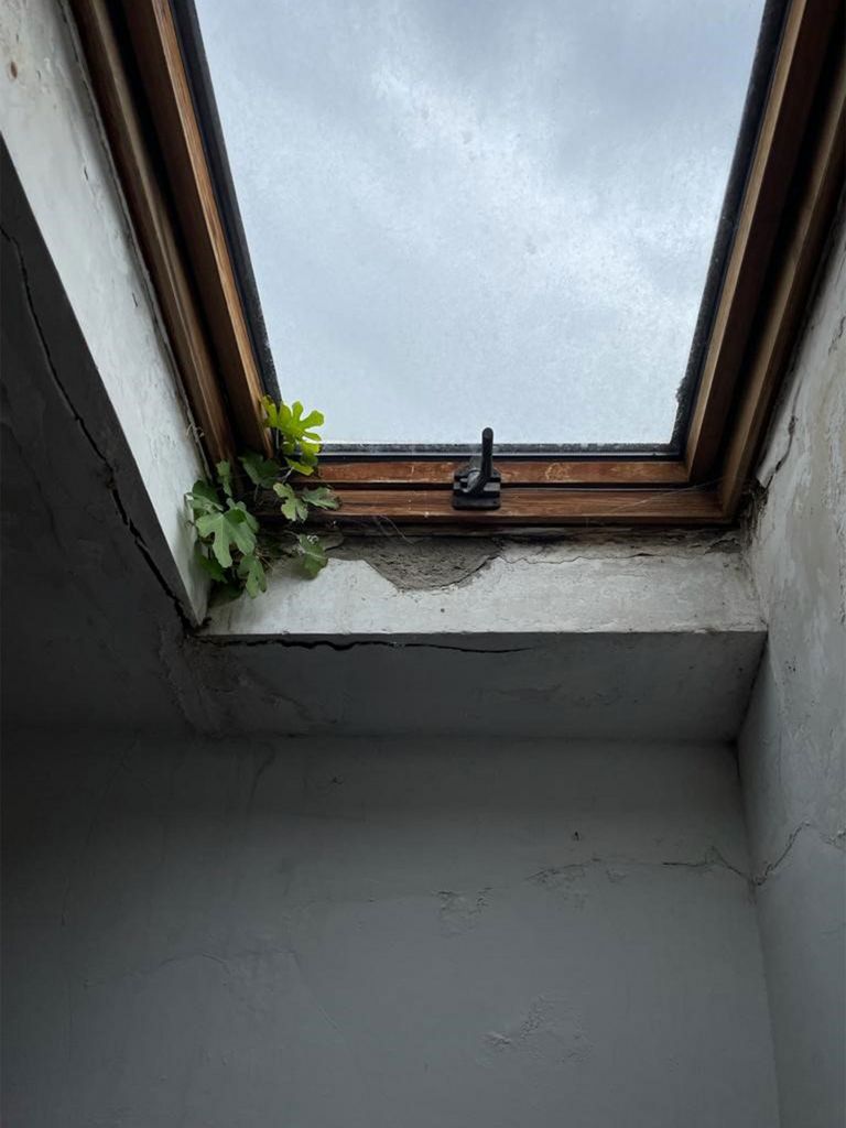 Finestra da tetto poco isolata che nel tempo ha dato via alla vegetazione dentro casa.  